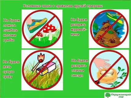 Правила поведения в лесу горах водоемах