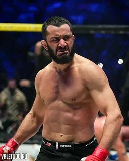 Ясина халидов