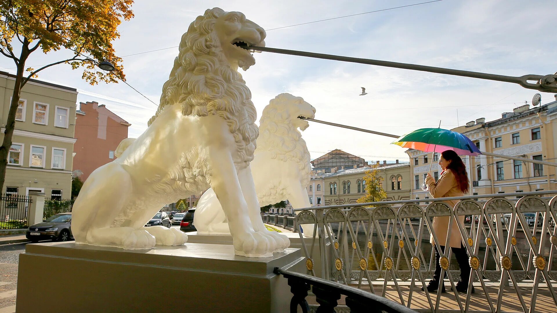 Почему в петербурге так много. Банковский мостик в санкт-петербурге. питер львы у адмиралтейства. львы на набережной в санкт-петербурге. мост с грифонами в санкт-петербурге.
