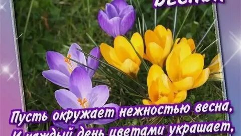 Принесет много радости