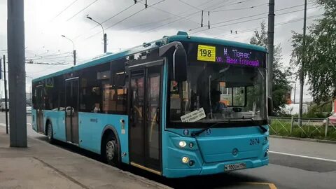 Автобус 185 спб