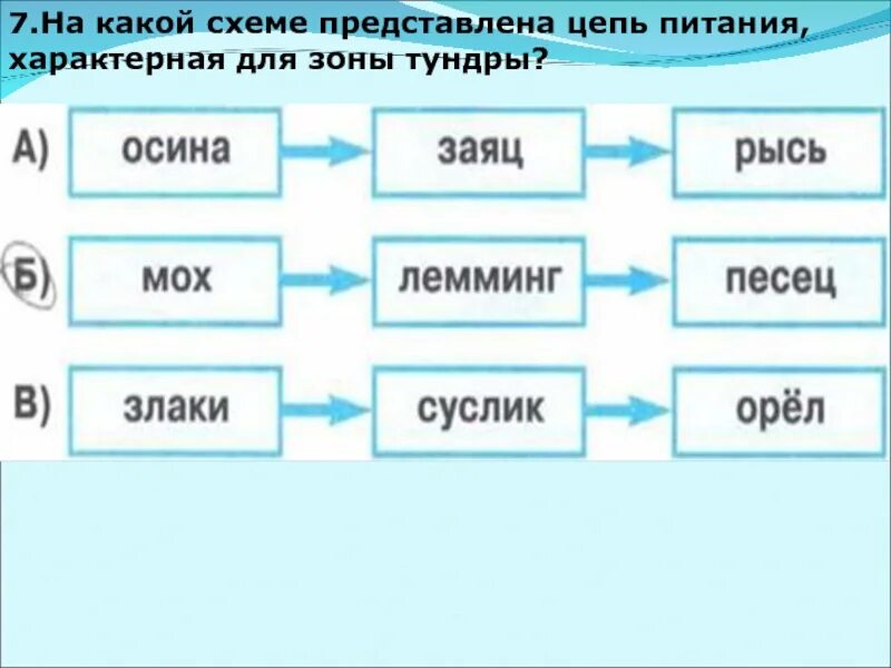 Составить цепи питания тайги. Цепь питания в тундре 4 класс окружающий мир. Схема цепи питания характерной для тундры. Схема цепи питания характерной для тайги. Цепь питания в тундре 4 класс.