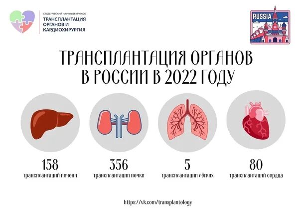 Трансплантация органов в России. Критерии распределения донорских органов.