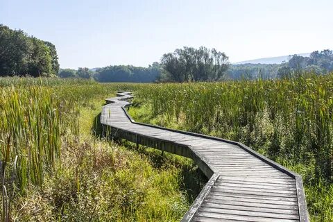 Path zip
