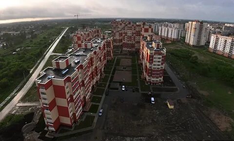 Сельма калининград