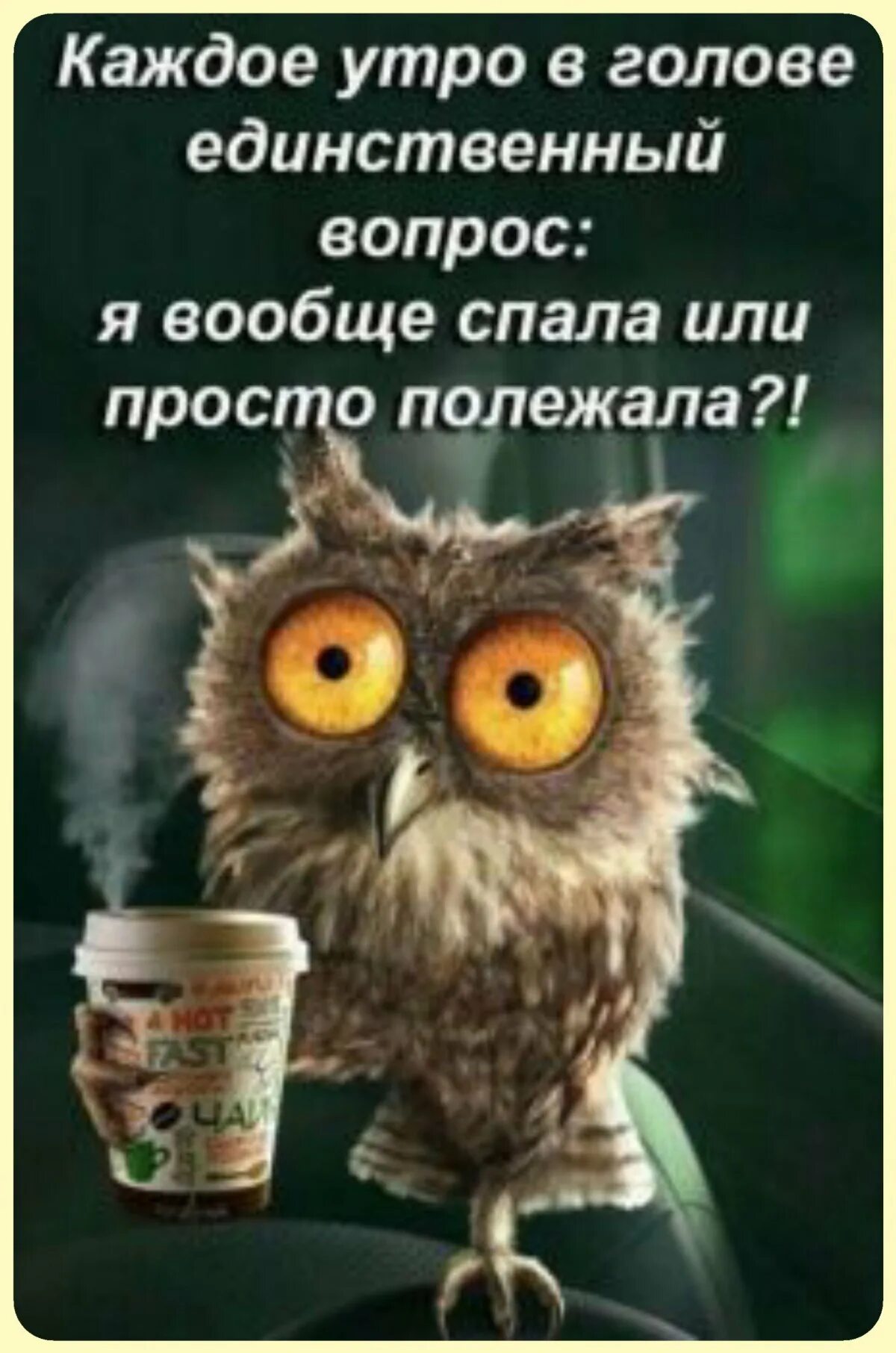 Доброе утро прикол работа. Доброе утро юмор. доброе утро прикол. с добрым утром юмор. проснулись с добрым утром.