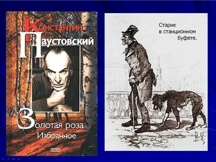 Стой толстой