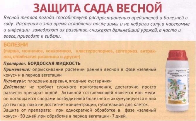 Абрикос обработка весной от вредителей и болезней. Препарат для опрыскивания деревьев. Препараты для обработки деревьев весной. Обработка сада от болезней. Обработка деревьев от вредителей и болезней.