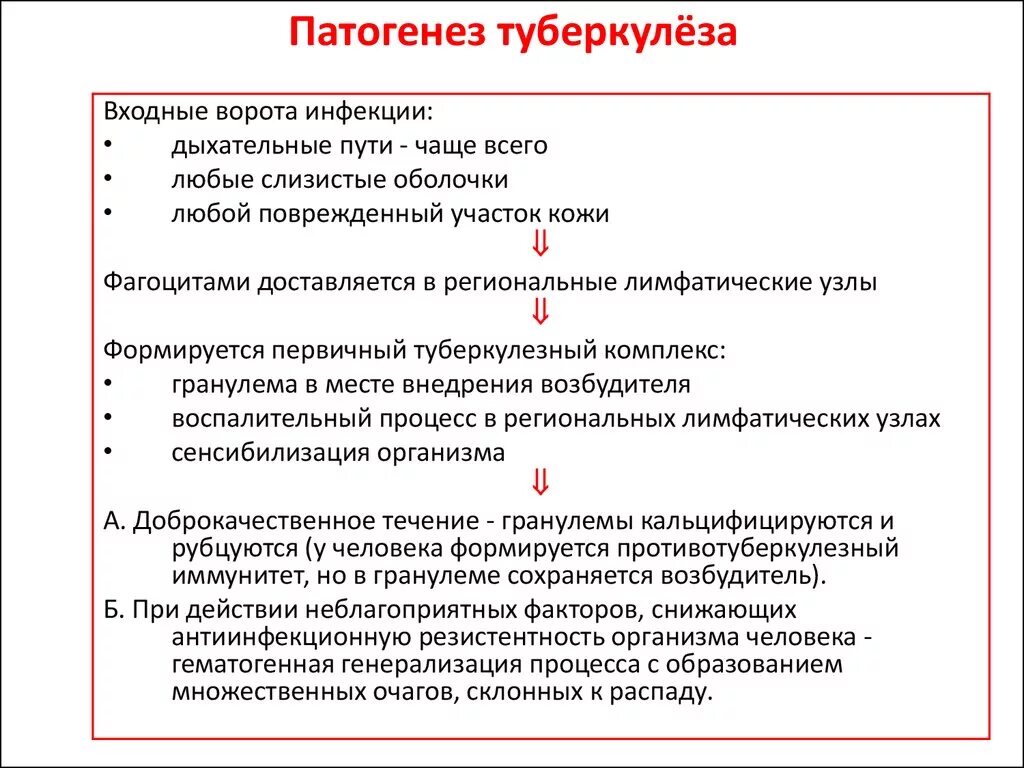 Возбудитель инфекции туберкулеза