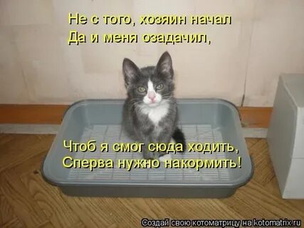 Надо накормить