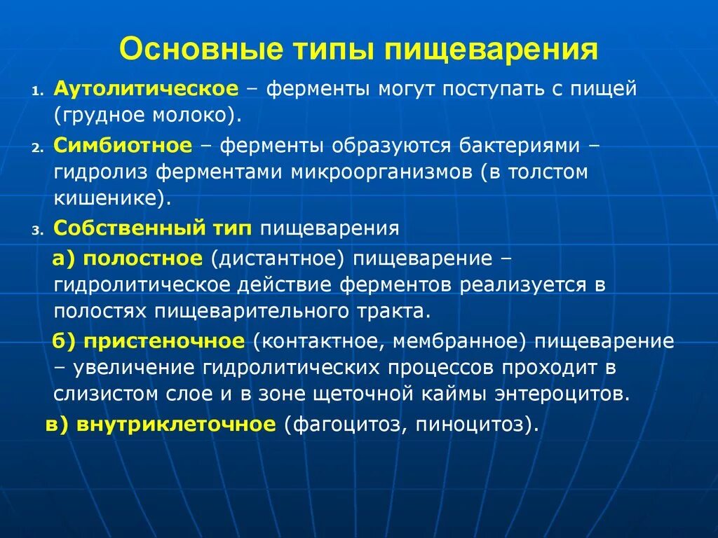 Собственно основное. Типы пищеварения. Основные типы пищеварения. Виды пищеварения у человека. Типы пищеварения, их характеристика..