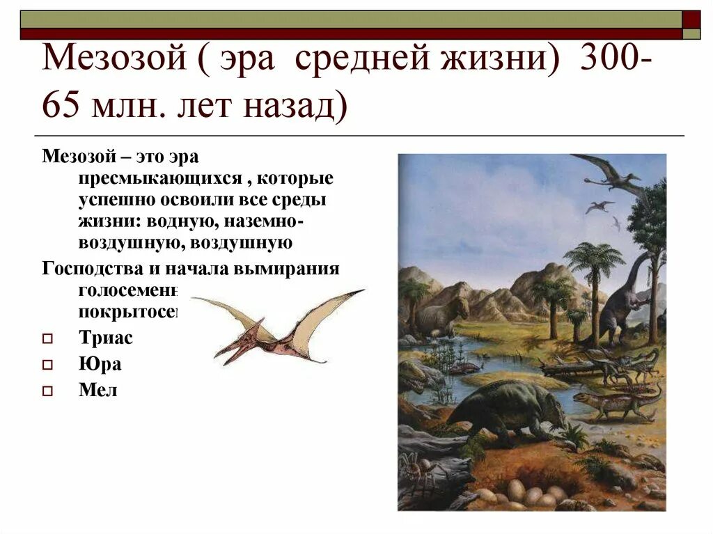 250 млн лет назад какой период. Мезозой Эра Дата. Юрский период мезозойской эры. Юрский период мезозойской эры таблица. Мезозойская Эра Продолжительность млн лет.