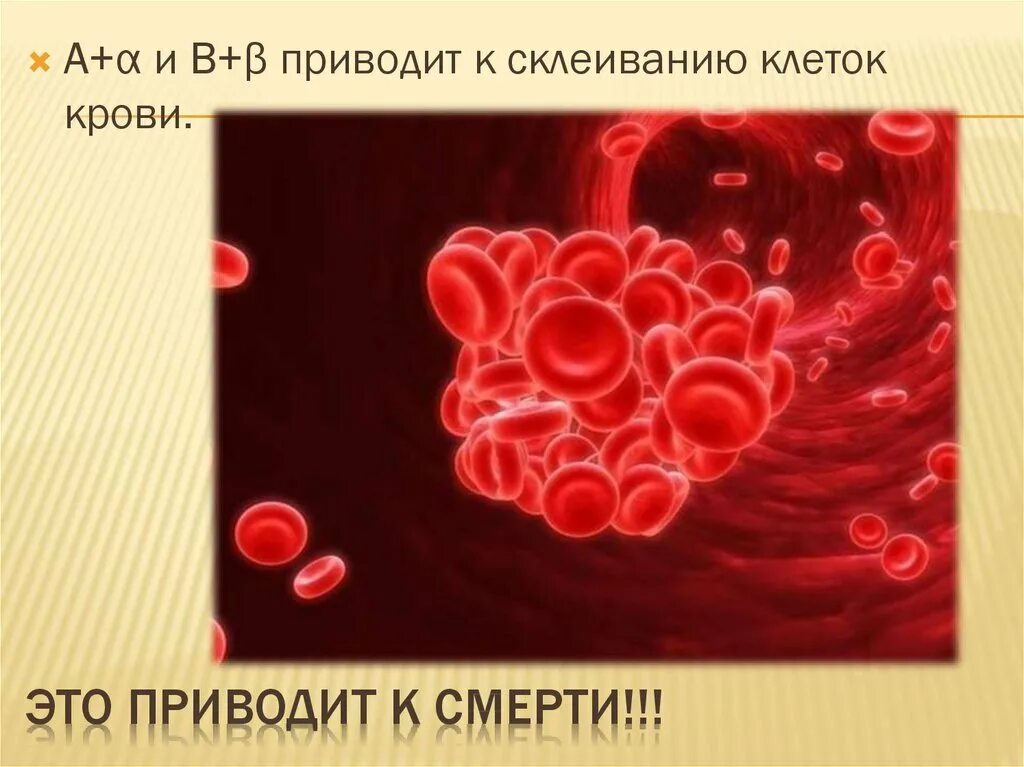 Склеивание крови. Агглютинация это склеивание эритроцитов. Эритроциты для презентации. Склеивание клеток крови. Эритроциты переливание крови.