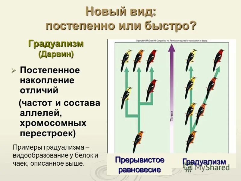 постепенно это как. вид постепенно. частичная потеря зрения. постепенная утрата государственных границ. скипетр и держава на гербе россии.