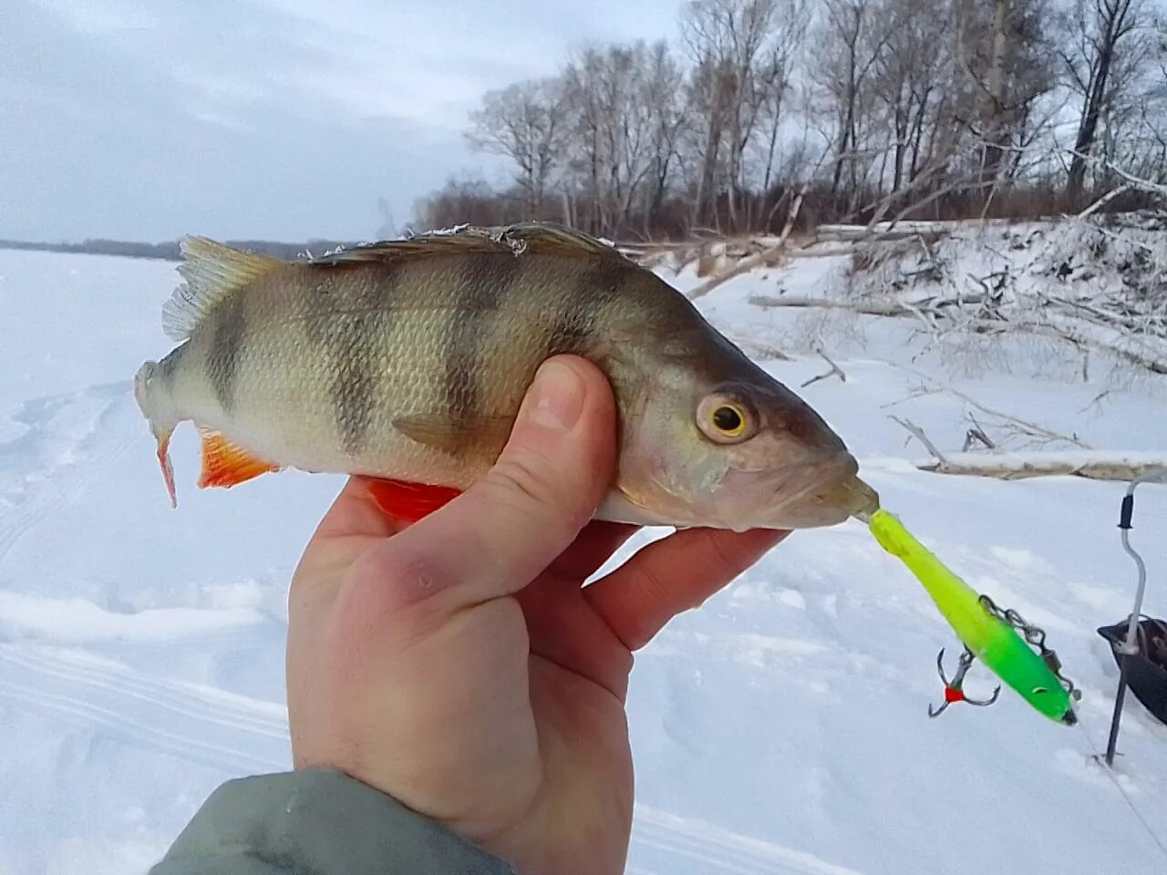 Купить для рыбалки в барнауле. Рыбалка в Барнауле. Barnaul Fishing фото. Рыбалка в Барнауле в контакте.