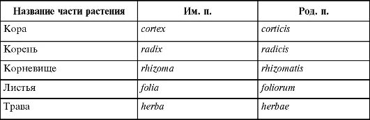 Листья на латыни. Части растений на латинском. Части растений на латинском языке. Латинские названия частей растений. Растения на латыни.