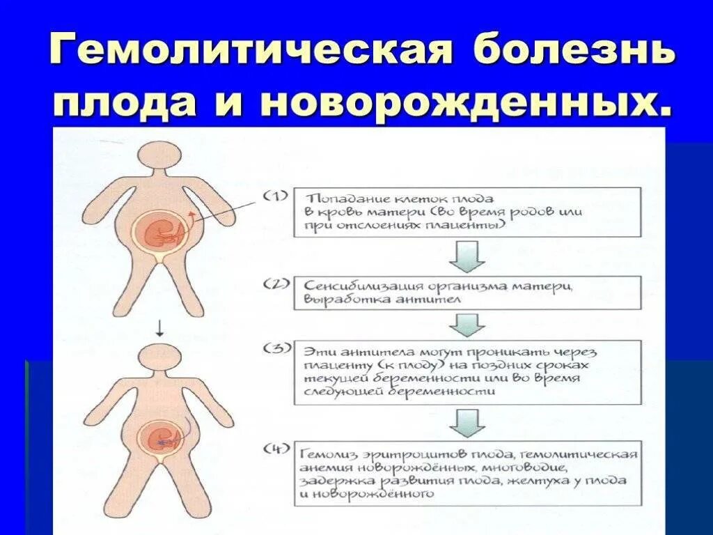 Кровь больной резус. Резус конфликт гемолитическая болезнь новорожденных. Гемолитическая болезнь по группе крови патогенез. Отечная форма гемолитической болезни плода. Патогенез отечной формы гемолитической болезни новорожденных.