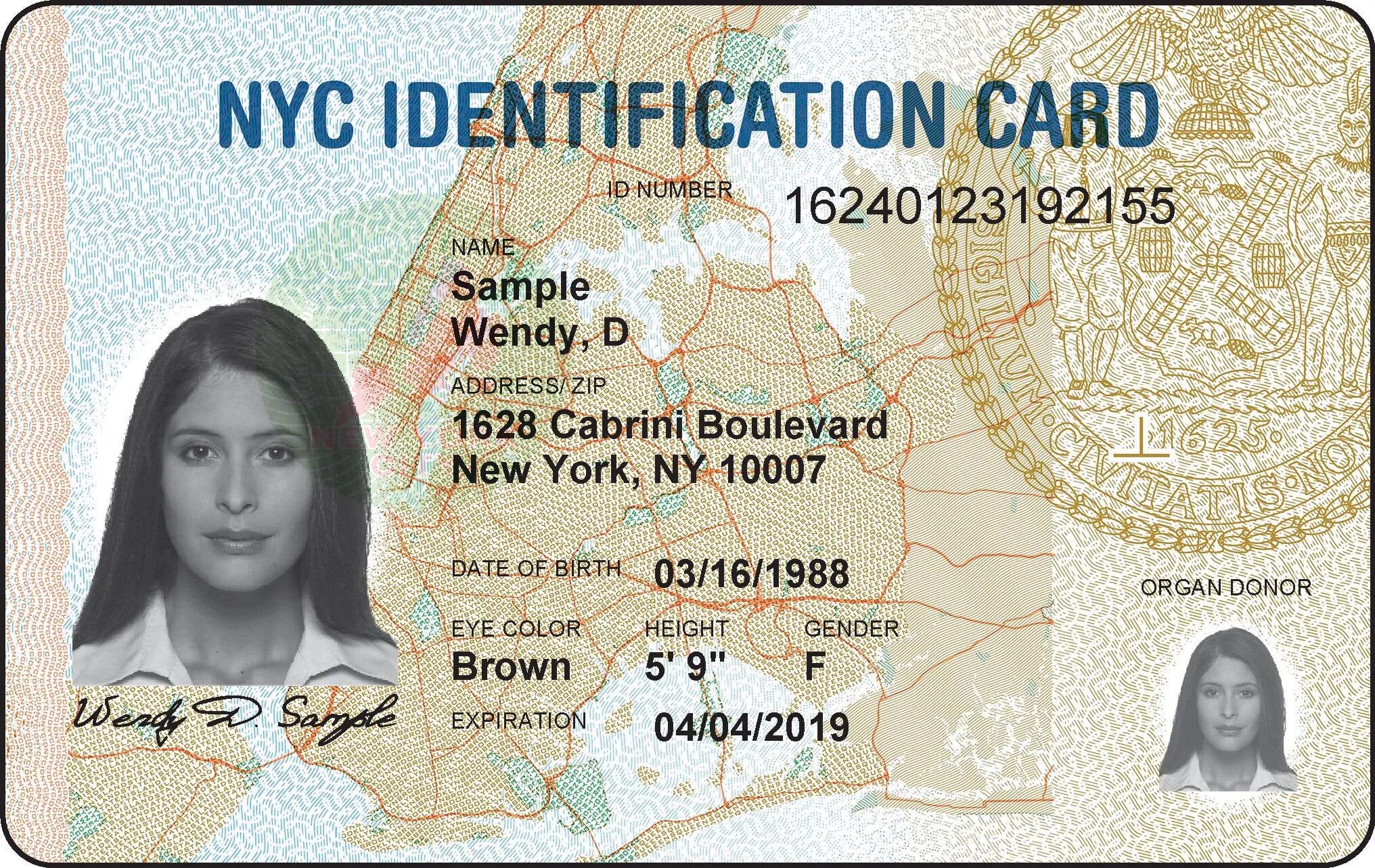 Id file new. ID Нью Йорк. ID карта в Америке. NYC identification Card.