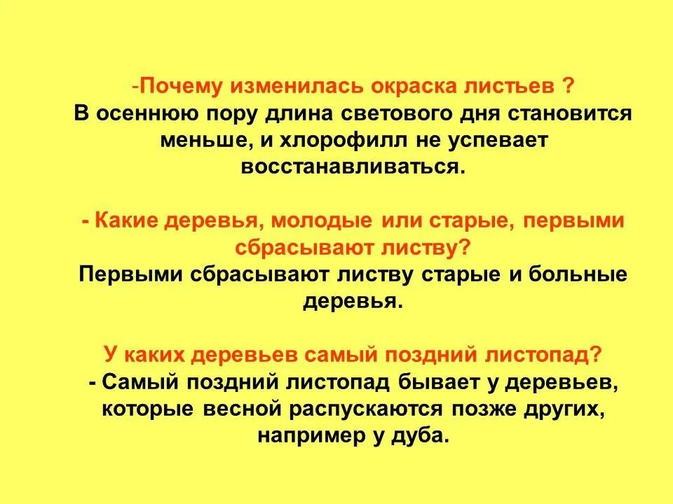 Отчего изменяется окраска листьев осенью. Изменение окраски листьев осенью. почему осенью изменяется окраска листьев. причины изменения осенней окраски листьев,. изменение окраски листьев очсентье.