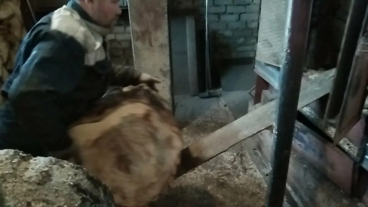 Кочегар йошкар ола вакансии. Кочегар технологических печей. Работа в йошкар-оле вакансии. Кочегар йошкар ола вакансии. Профессия машинист кочегар.