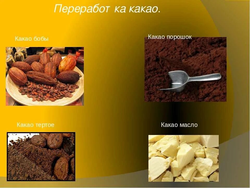 Продукция из какао бобов. Продукты из какао бобов. Какао Бобы виды. Производство какао. Возьми масла какао