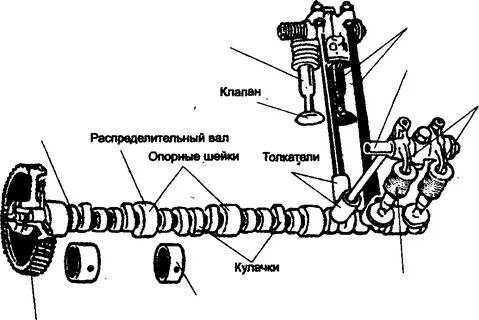 Плечо коромысла
