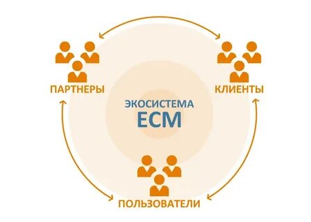 Экосистема продуктов для бизнеса