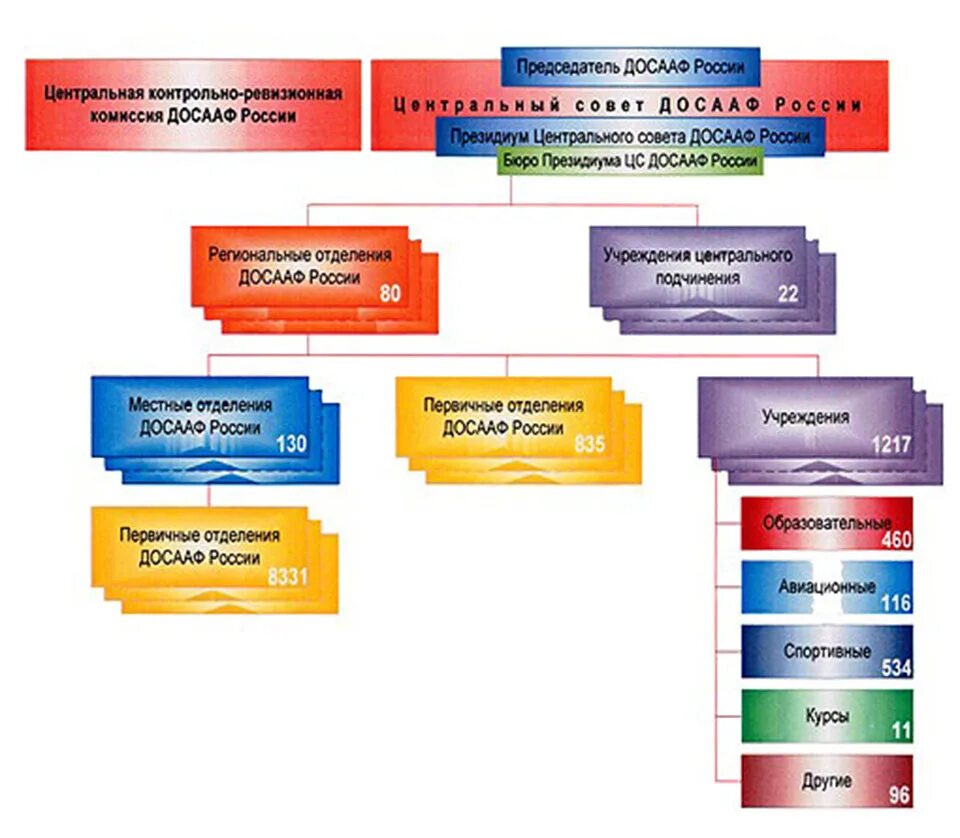 Организационная структура досааф. Первичное отделение досааф. Структура функции и направления деятельности досааф. Структура функции и направления деятельности досааф. Структура таможенного брокера.
