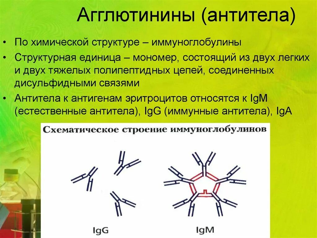 Агглютинины это антитела. Антитела иммуноглобулины структура. Химическая структура антител. Строение антител иммуноглобулинов. Антитела легкая форма