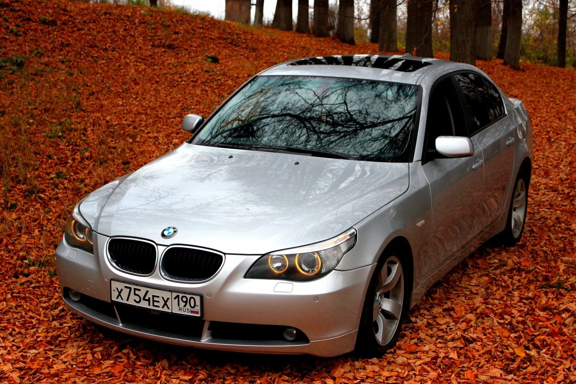 BMW e60 лиса. BMW m5 Лисичка. БМВ 525 Лисичка. БМВ лиса е60 универсал. Дром м5