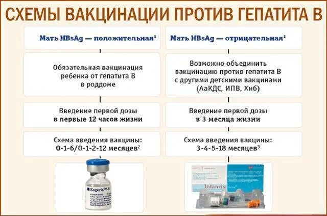 Гепатит б прививка сколько раз. Гепатит б вакцина схема вакцинации. Прививка гепатит а схема вакцинации. Как называется вакцина против гепатита б. Гепатит б вакцина схема вакцинации детям.