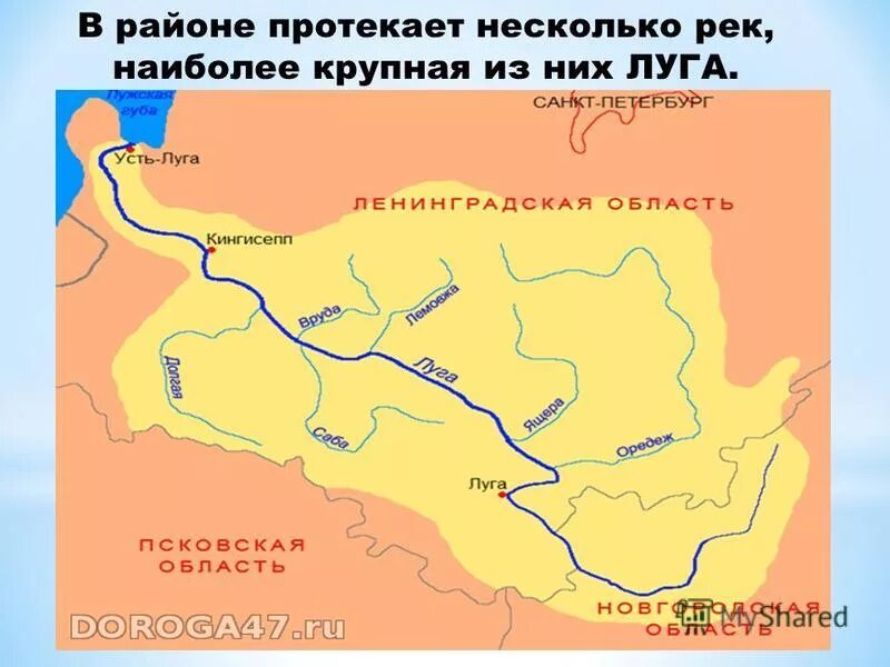 Река луга на карте. Река Аше на карте. Где протекает река Луга. Несколько рек. Какие реки протекают в районе г Калинина.