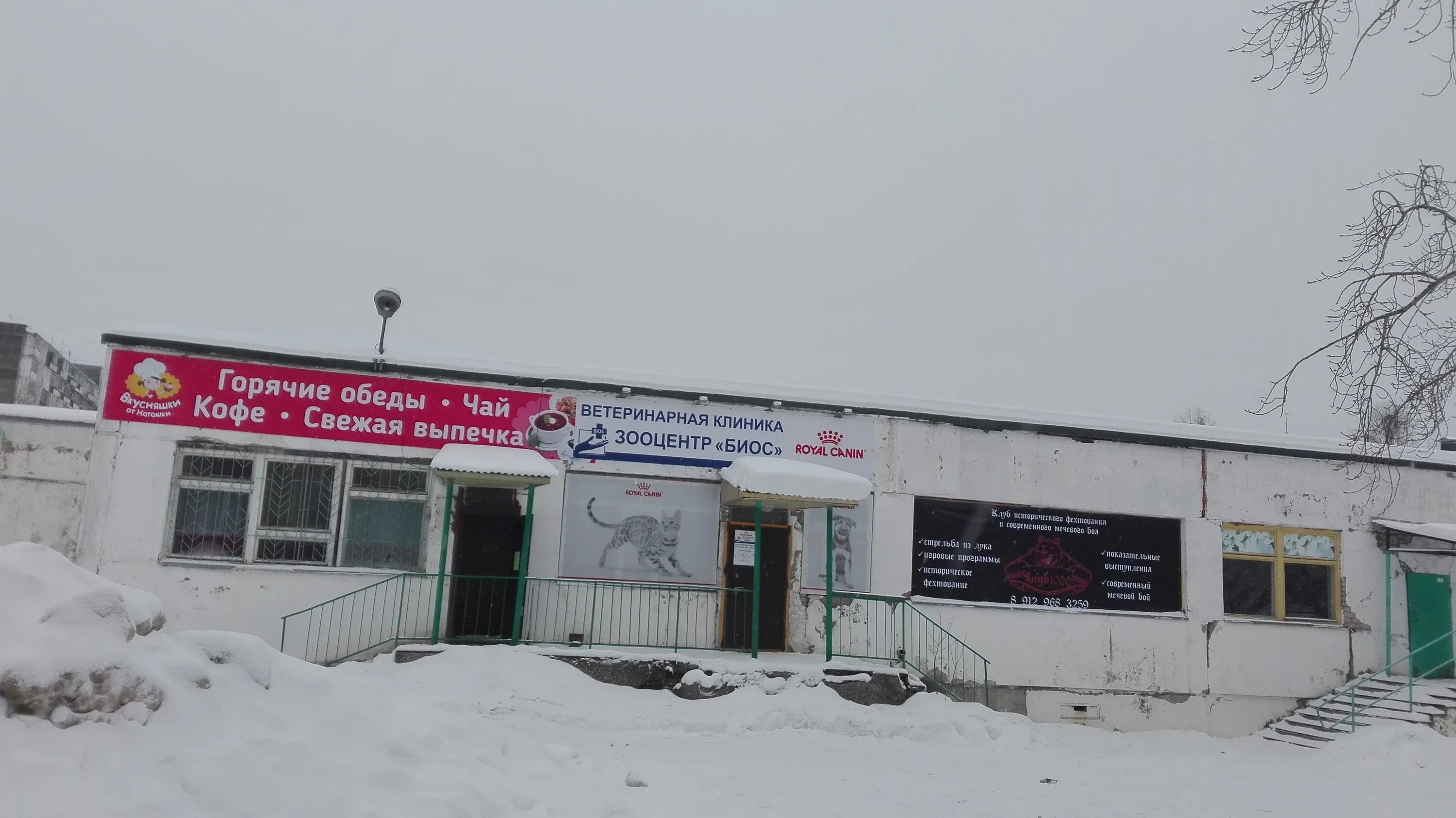 Ветеринарная клиника на в орбите сыктывкар. Ветеринарная клиника сыктывкар гаражная 27. Ул маркова 69 сыктывкар. Ветеринарная клиника сыктывкар гаражная 27. Ветеринарная клиника сыктывкар.