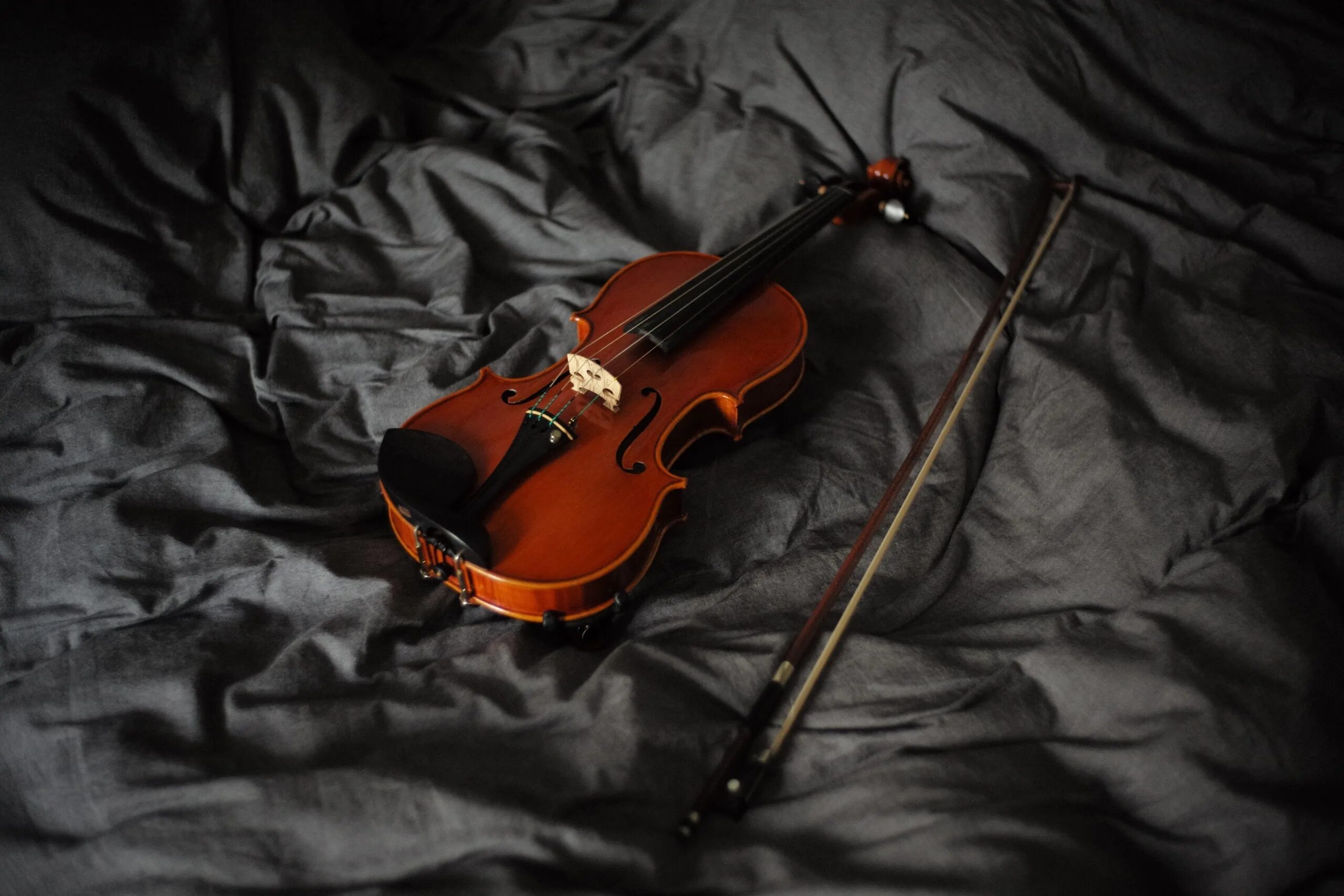 Violin музыка. Скрипка. Скрипка фото. Скрипка музыкальный инструмент. Скрипка на черном фоне.