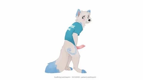 animal penis, anthro, arctic fox, blush, bottomless, canid, canine, canine ...