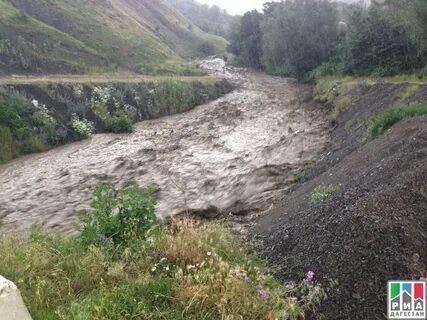 Погода село икра