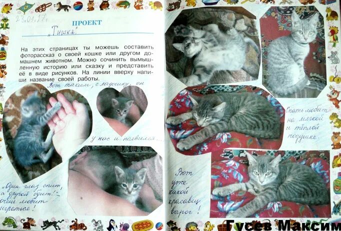 Проект про питомца. Проект про домашнего питомца. Проект мой домашний питомец 1 класс окружающий мир. Проект мой домашний питомец 1 класс окружающий мир образец. Проект мои домашние питомцы.