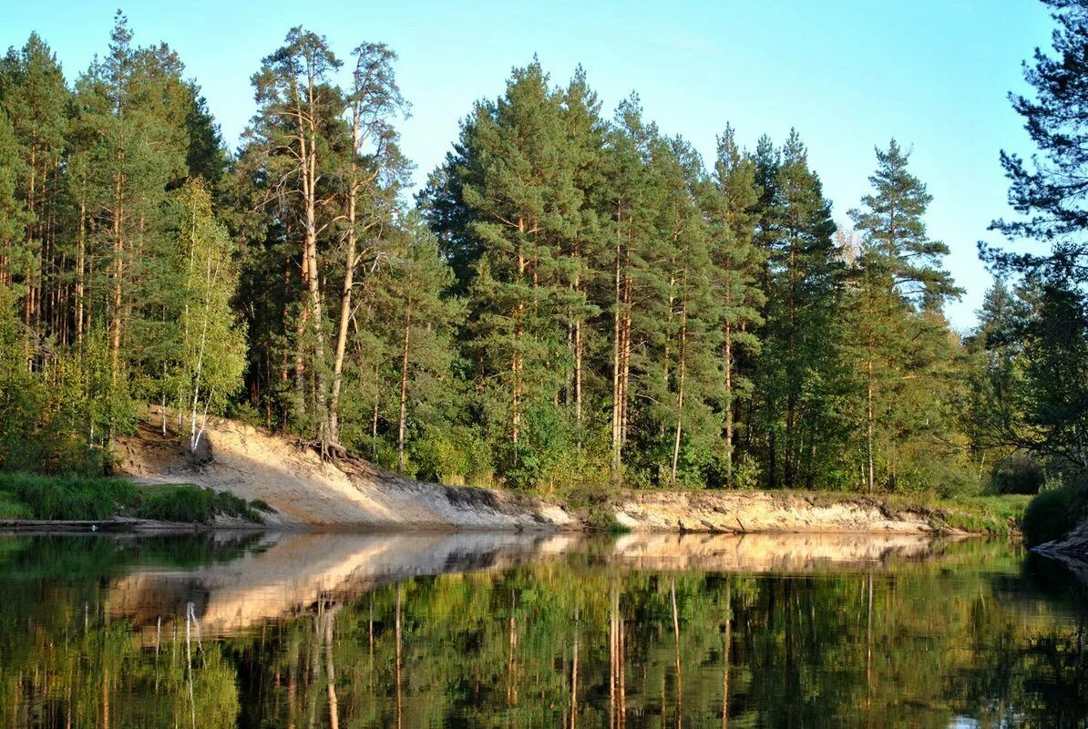 Мещера клепики. Мещёрский национальный парк рязанской области. национальный парк мещера гусь-хрустальный. парк мещерский рязань. мещерский лес рязанская область.