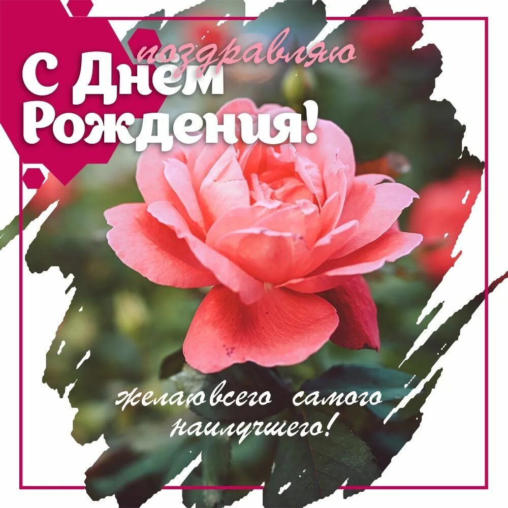 Открытка с днём рождения розы. Поздравить с днем рождения женщину розу. Букет роз с днем рождения. Шикарный букет цветов с днем рождения. С днем рождения открытки с цветами.