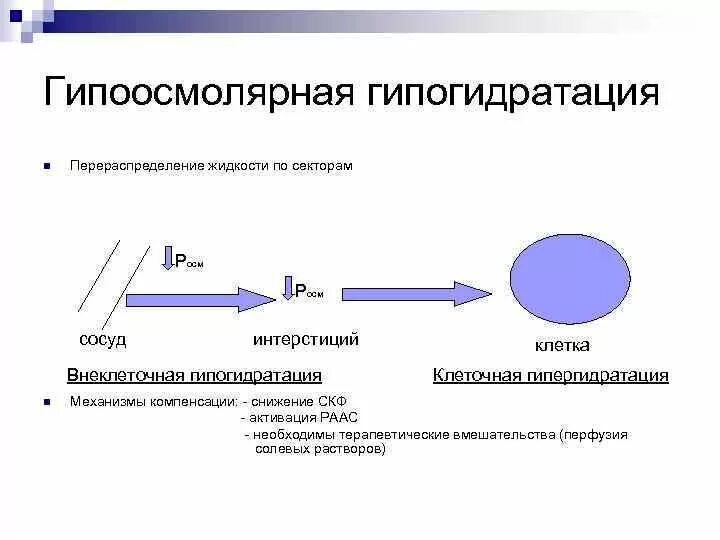 Гипогидратация это. Гипоосмоляльная гипогидратация. Причины гипоосмолярной гипогидратации. Гипоосмолярная дегидратация патогенез. Гипоосмолярная гипогидратация патогенез.