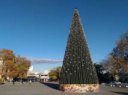 Фото большой елки