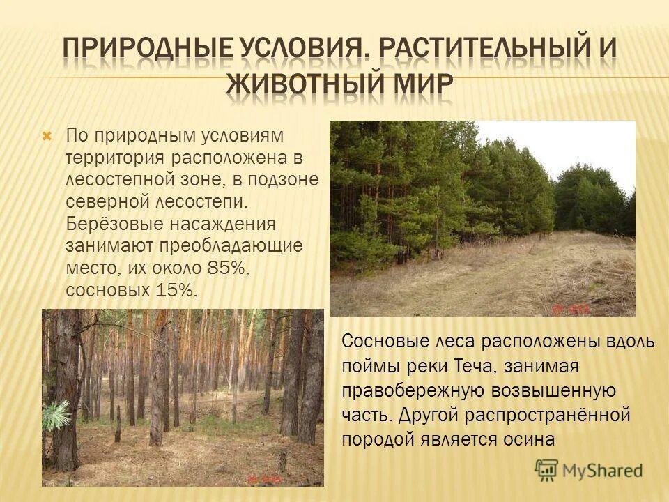 Природноклиматичечкие условия. Естественные природные условия. Природные условия и ресурсы восточной европы. Природные условия и ресурсы москвы. Что определяют природные условия и ресурсы.