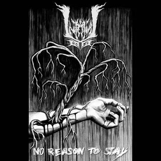 Scarecrxw bonus tape rip