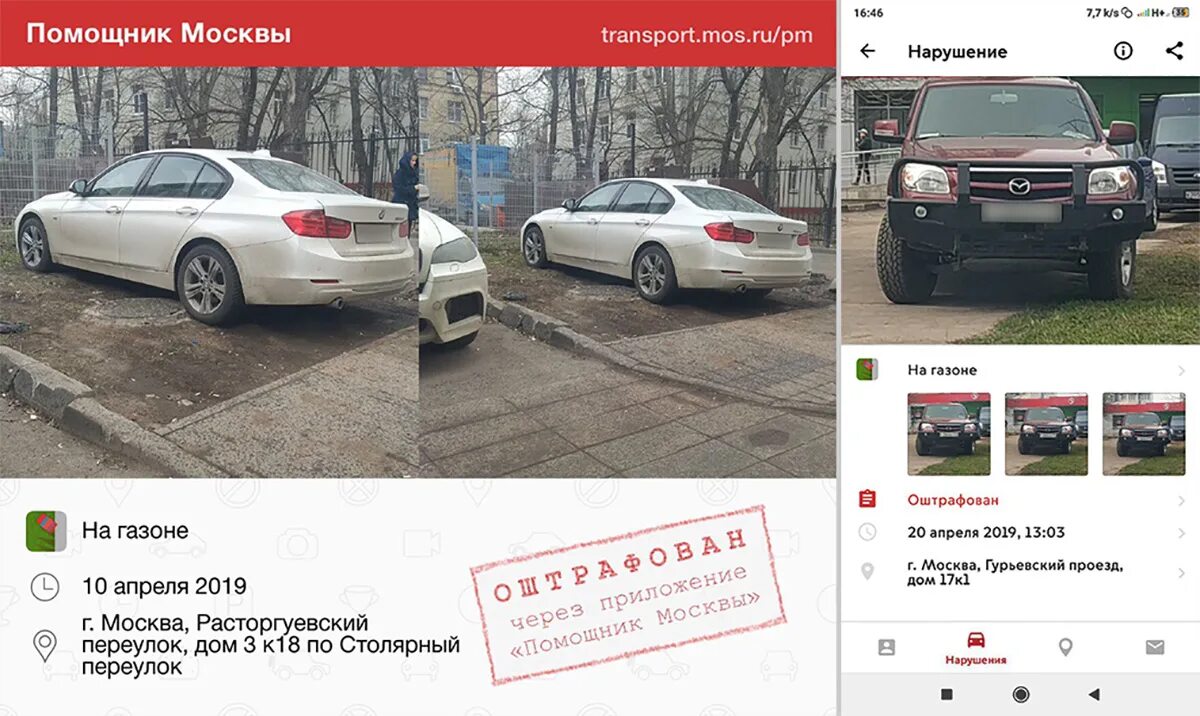 Фотографирует нарушителя парковки. Штраф из помощник москвы. Куда отправлять фото нарушений пдд стоянка на тротуаре. Помощник москвы парковка на газоне. Штраф за парковку на газоне помощник москвы.