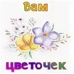 Спасибо наталии. Спасибо наталии
