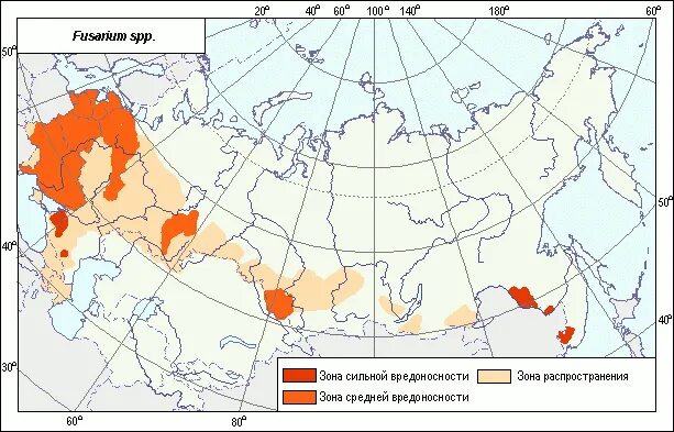 Районы выращивания на карте. Карта посева пшеницы в России. Ареалы распространения пшеницы в России. Ареал распространения озимой пшеницы. Карта распространения пшеницы.