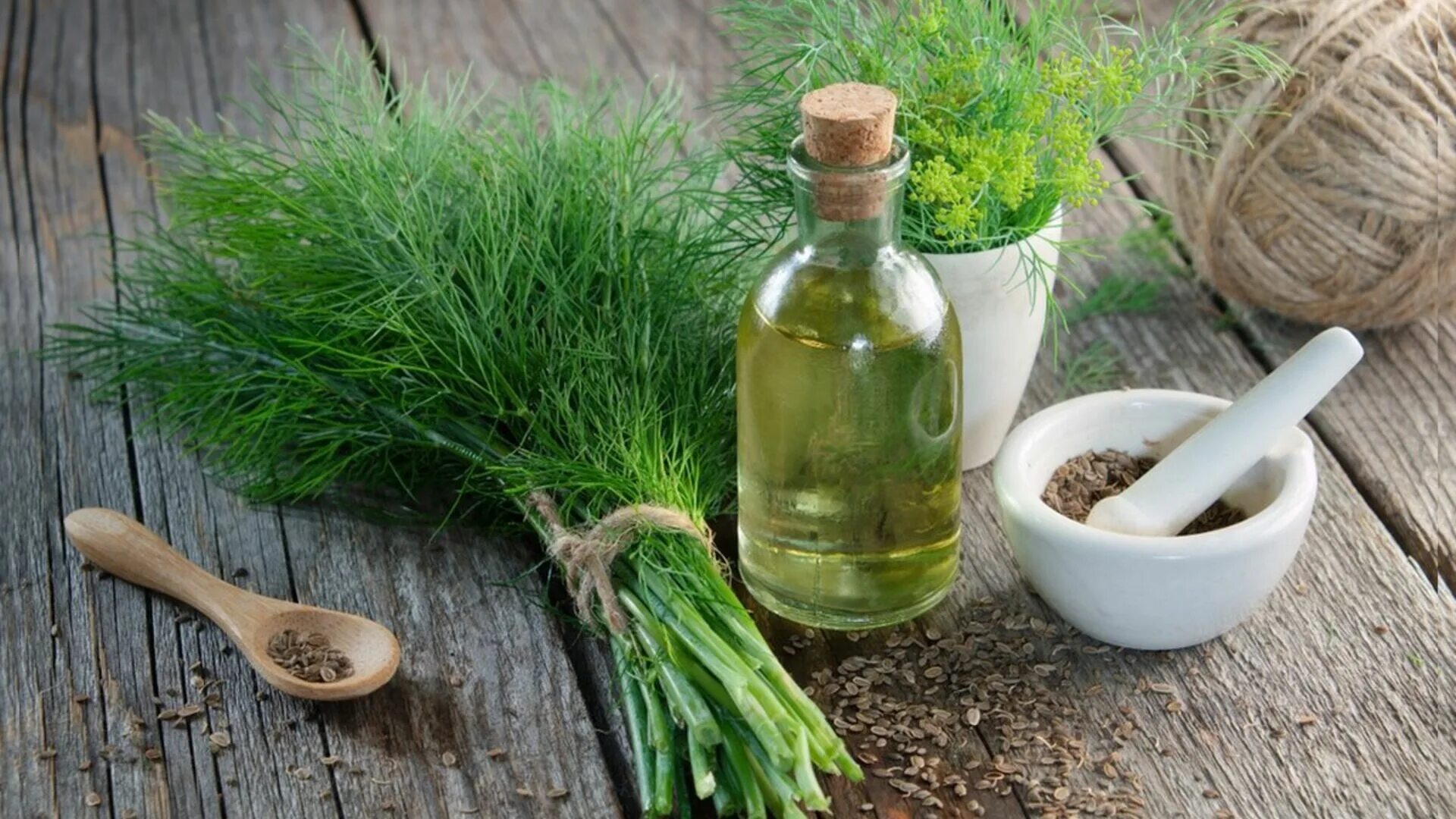 Укропный чай с фенхелем. Укропный настой. Настой укропа. Настой укропа. Отвар укропа.