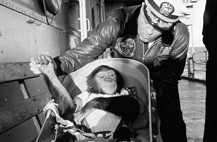 Обезьяны первыми полетели в космос. Обезьяны Эйбл и Мисс Бейкер в космосе. Макак-резус Эйбл и беличья обезьяна Мисс Бейкер. Шимпанзе Хэм космонавт.
