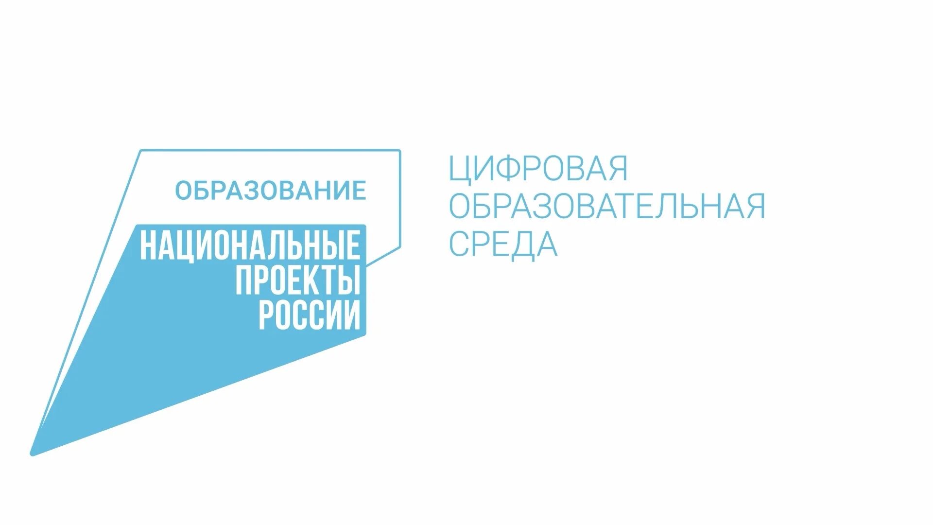 Национальные проекты 24. Национальные проекты России. Национальный проект образование. Национальныq проект «цифровая образовательная среда». Проект образование логотип.