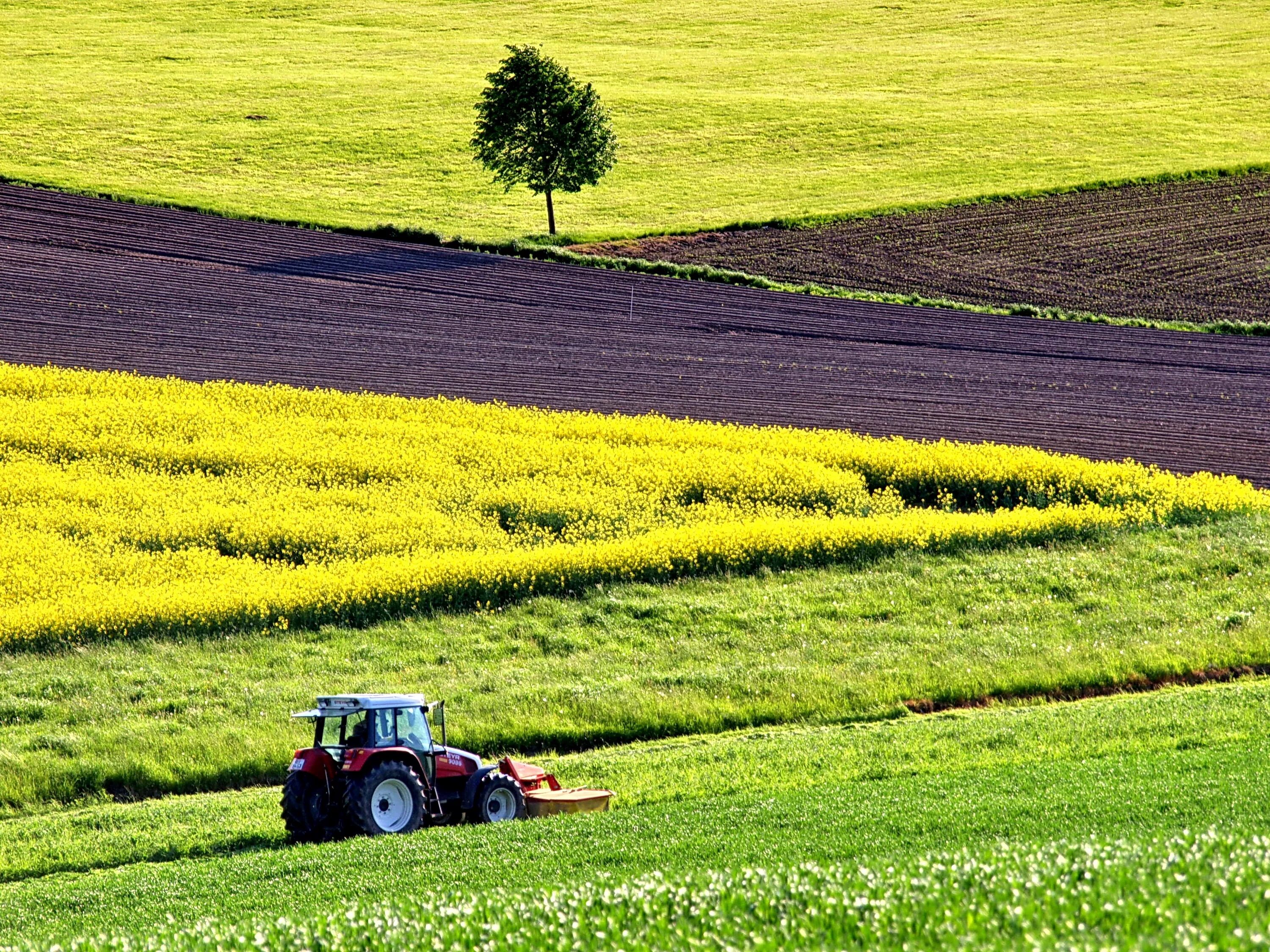 Сельское хозяйство 6 класс. Пахотные поля Украины. Сельское хозяйство. Поле сельское хозяйство. Сельское хозяйство Растениеводство.